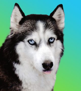 14 - Exabotix_MA_079r 1